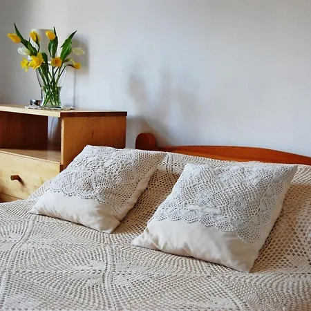 Oaza Pod Strzecha Klimatyczny Dom Z 3 Sypialniami Na Wylacznosc Z Kominkiem I Duzym Ogrodem شقة