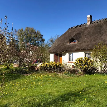 Oaza Pod Strzecha Klimatyczny Dom Z 3 Sypialniami Na Wylacznosc Z Kominkiem I Duzym Ogrodem شقة