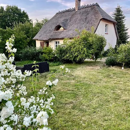 Oaza Pod Strzechą Klimatyczny Dom Na Wyłączność Z Jacuzzi I Dużym Ogrodem *